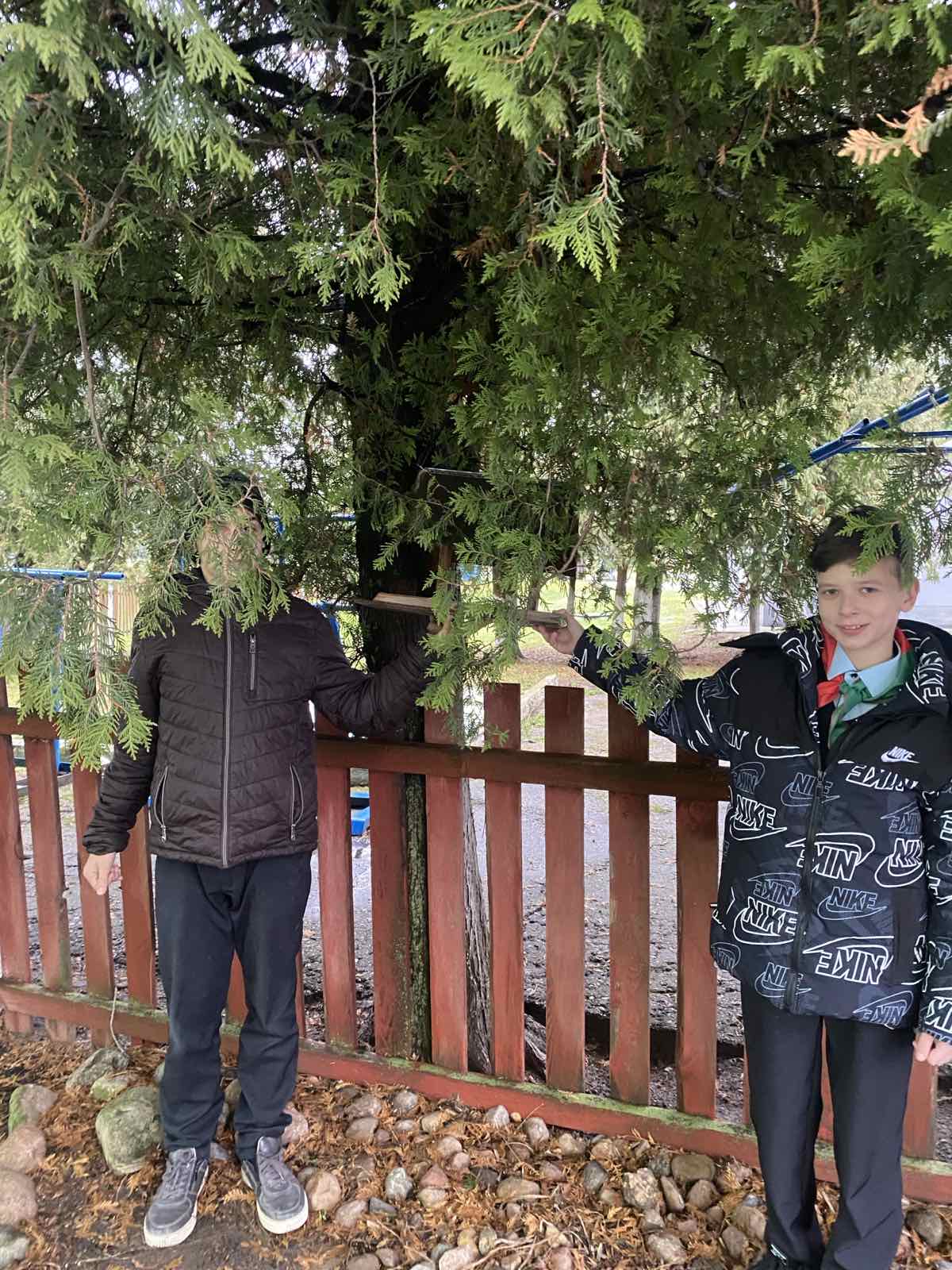 IMG 7f31cf9528746e84e9eab6d6ee643e11 V