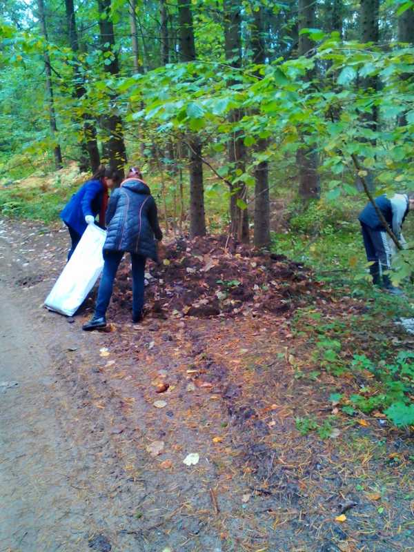 Изображение 053