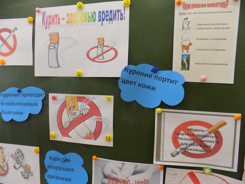 DSCN8612 новый размер